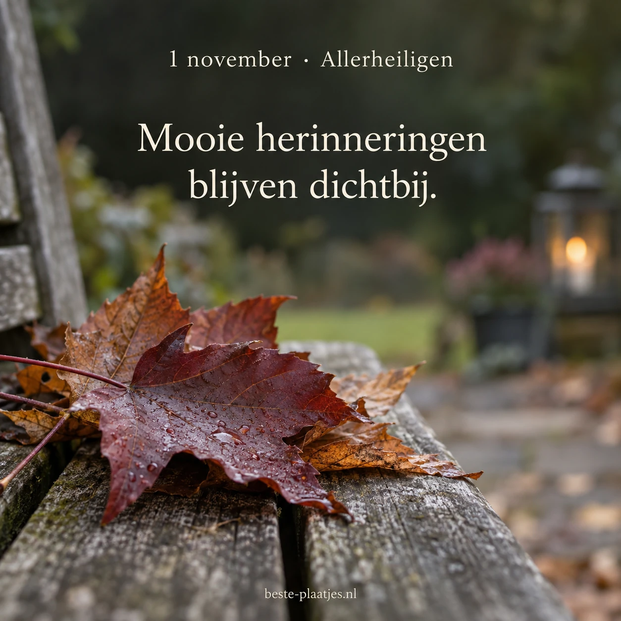 Herfstbladeren op een houten bankje als een rustige herinnering aan dierbaren.