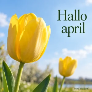 Welkom April 1/4