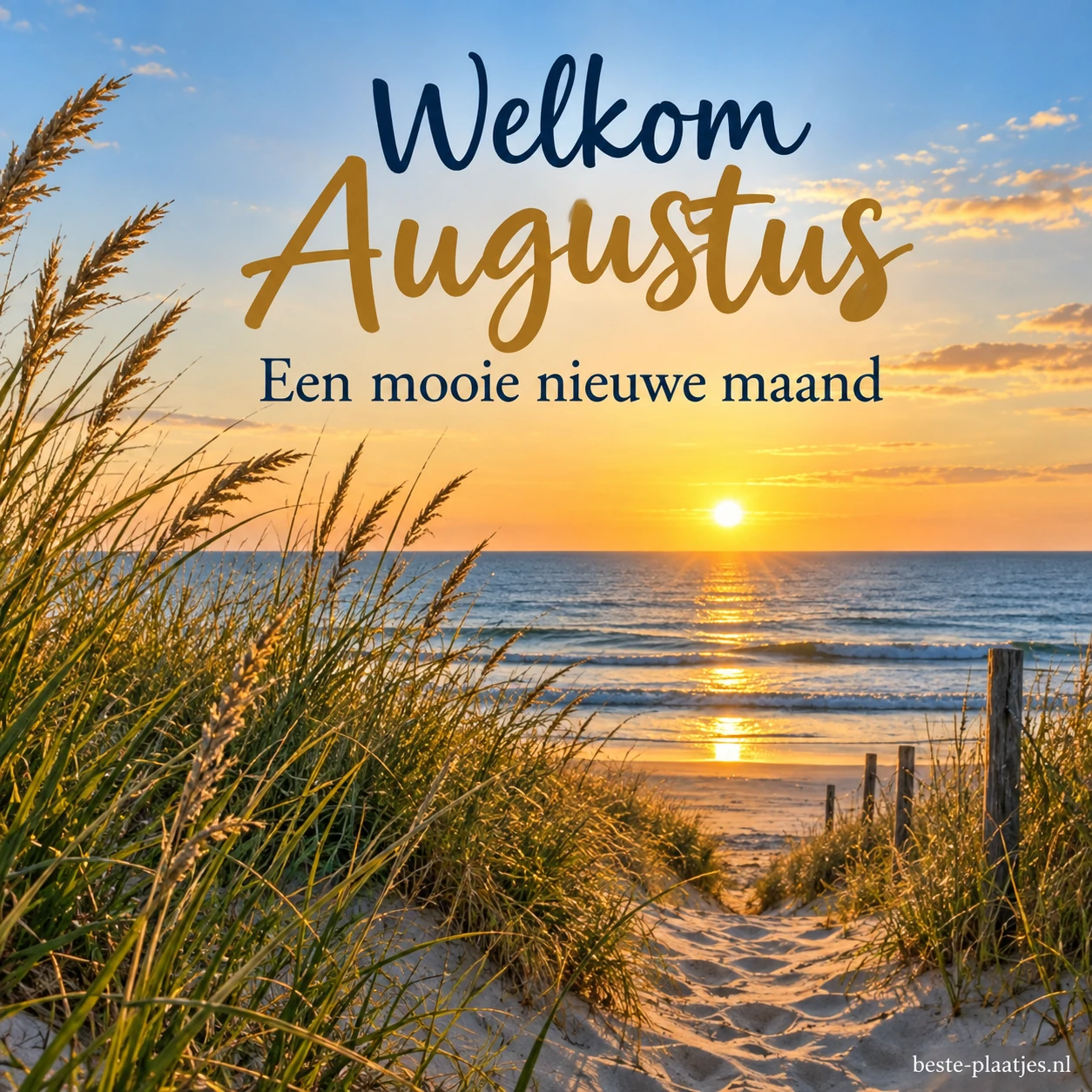 De zon gaat onder achter helmgras bij een pad naar het strand.