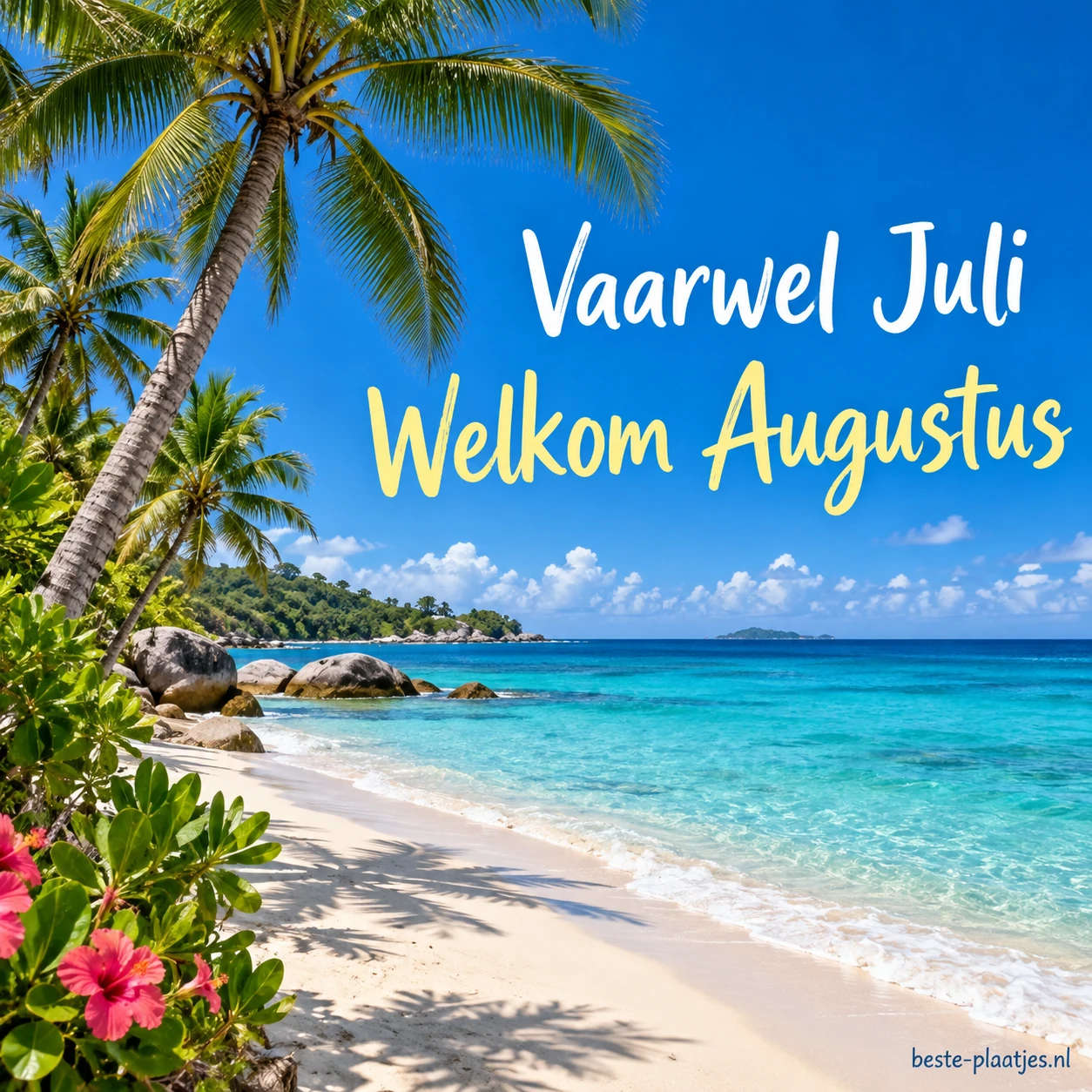 Een leeg tropisch strand ligt tussen palmen en turquoise water.