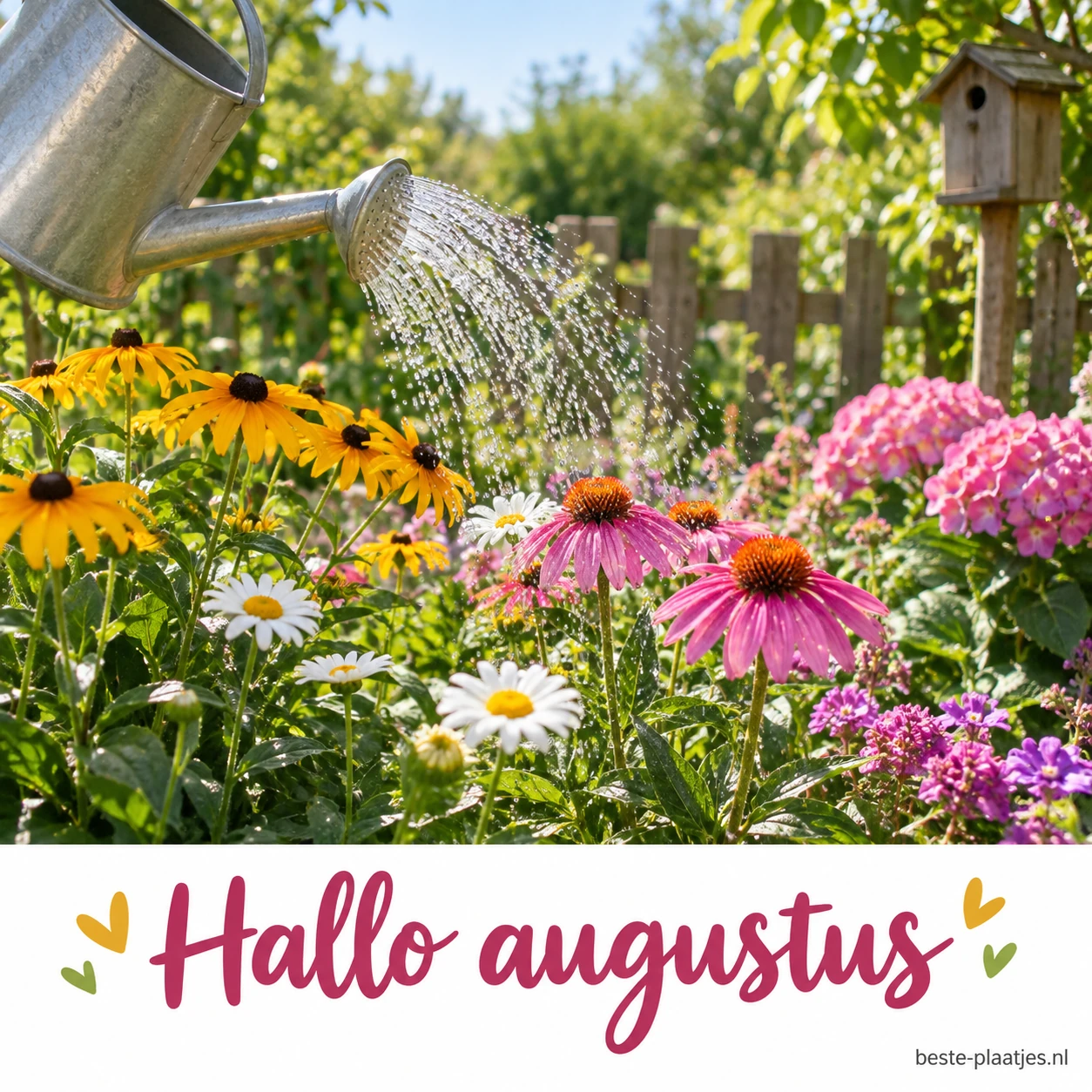 Een gieter geeft water aan kleurrijke bloemen in een tuin.