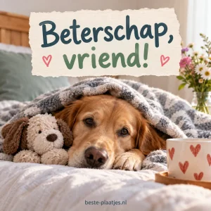 Een hond ligt met zijn teddybeer onder een zachte deken.