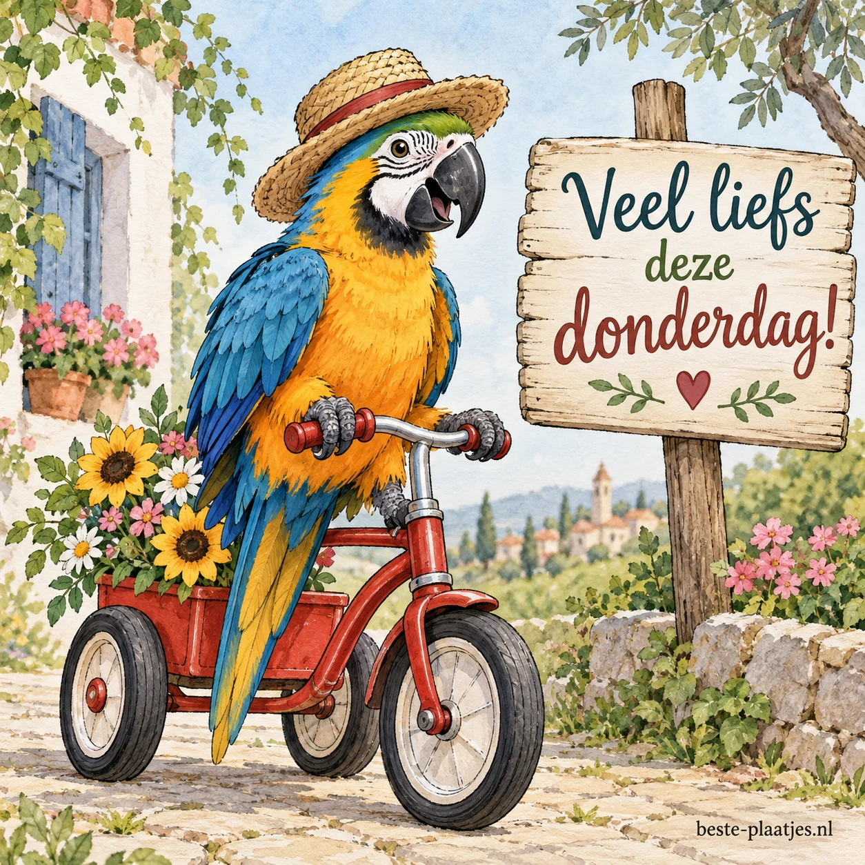 Een papegaai zit op een driewieler.