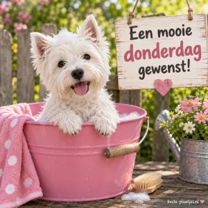 Witte hond in een roze emmer.