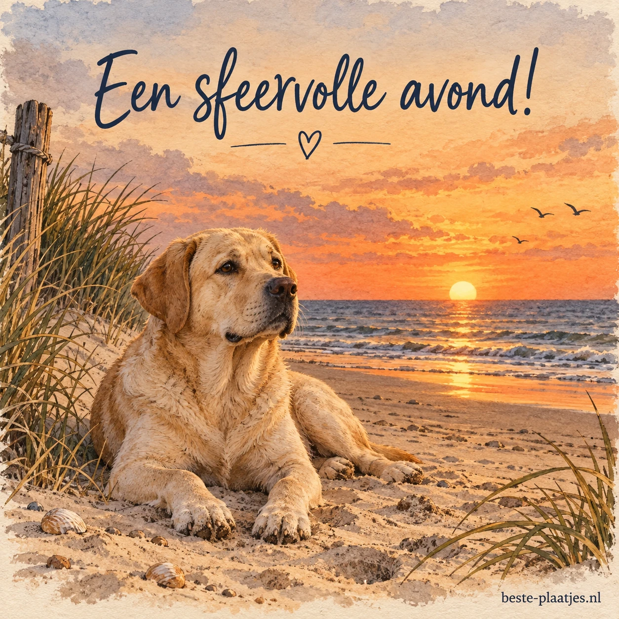 Labrador ligt op het strand bij zonsondergang.