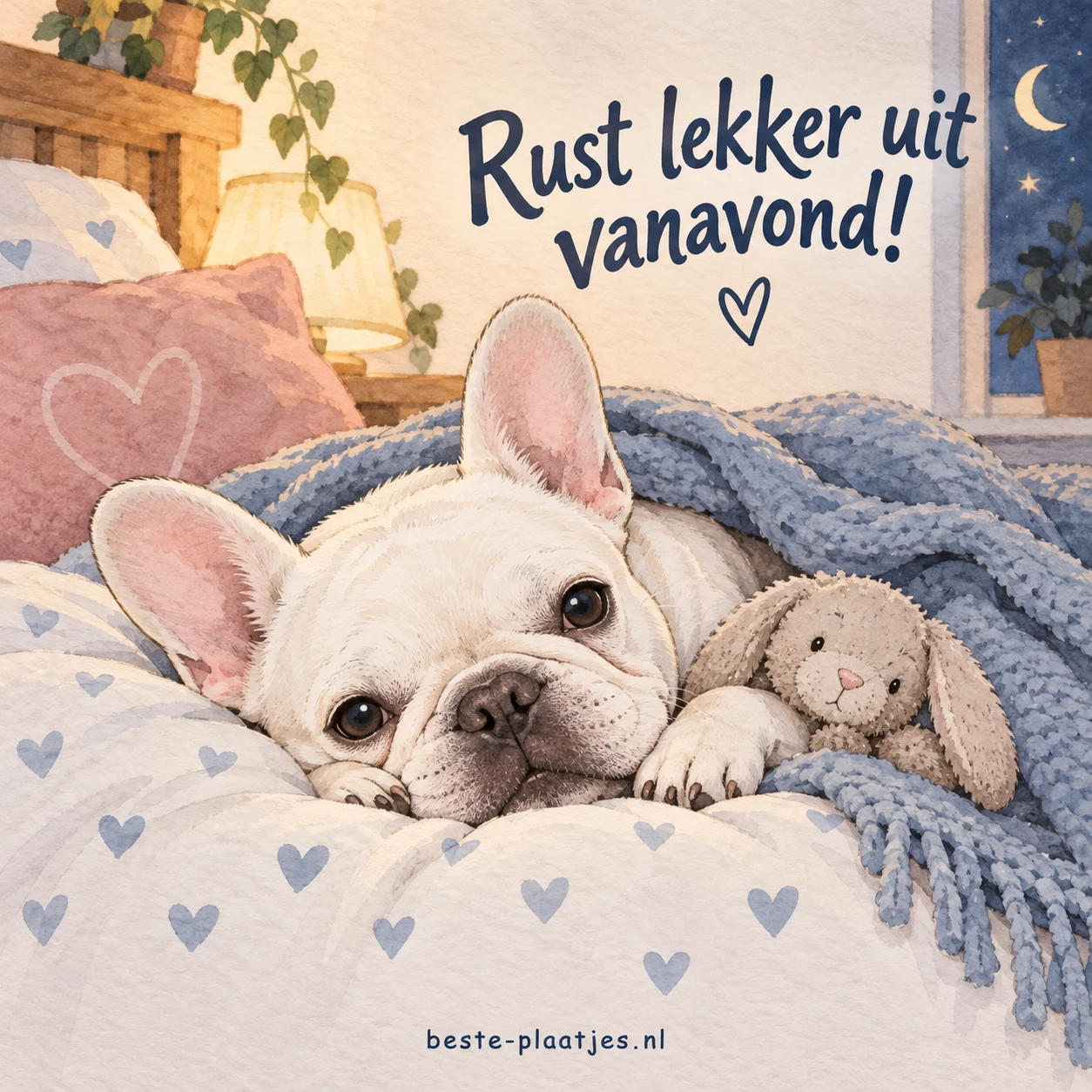 Een schattige witte Franse bulldog ligt op een bed.
