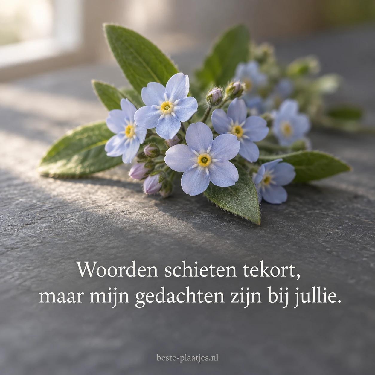 Blauwe vergeet-mij-nietjes staan als stil symbool van herinnering en verbondenheid.