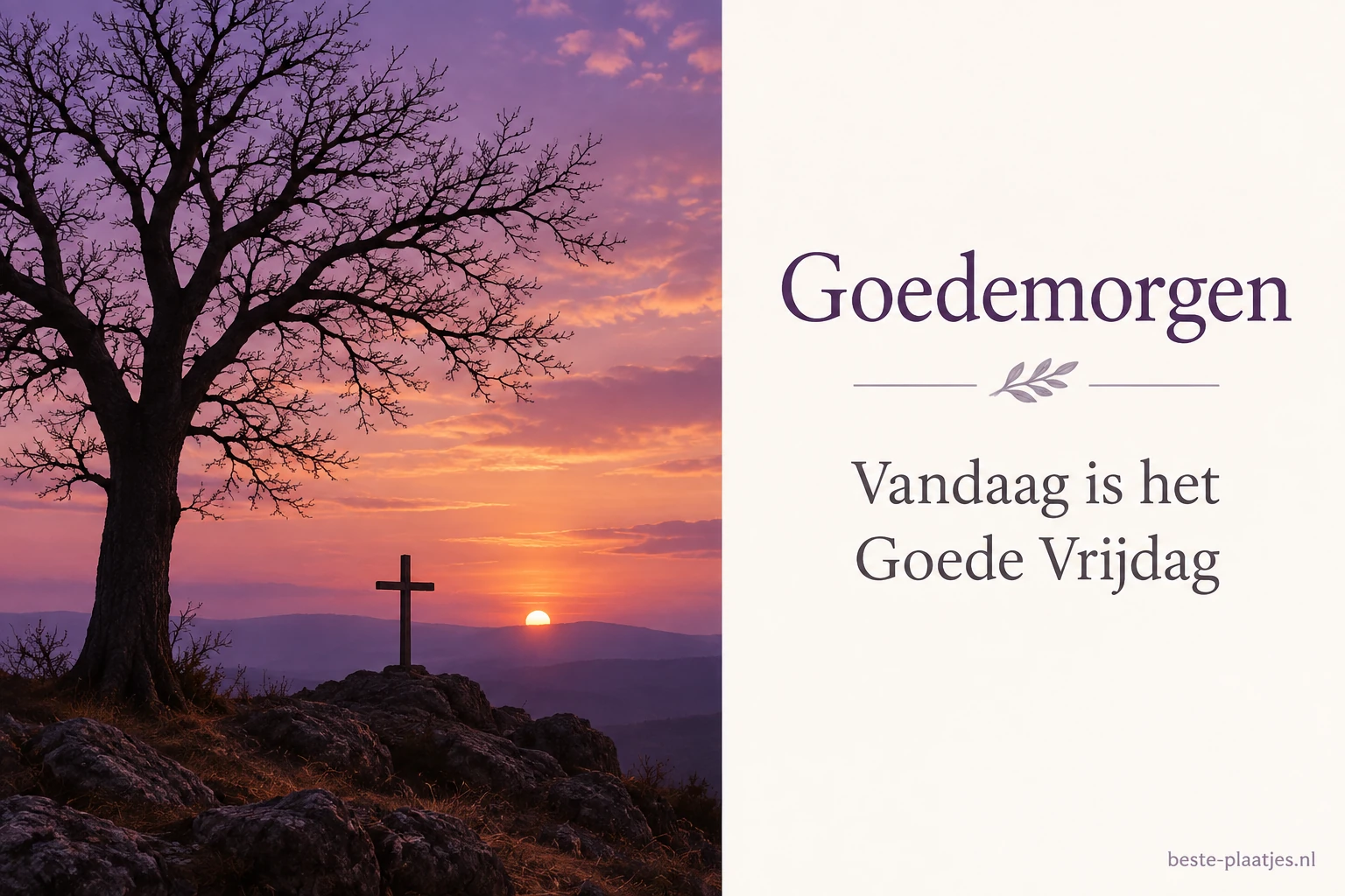 Een kale boom staat als silhouet tegen een paarse zonsondergang.