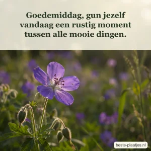 Een paarse wilde bloem steekt af tegen een zachte groene weide.