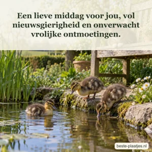 Drie jonge eendjes verkennen samen de oever van een zonnige vijver.
