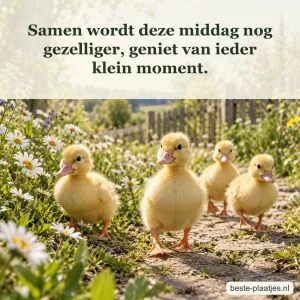 Vier gele eendjes wandelen tussen madeliefjes op een tuinpad.
