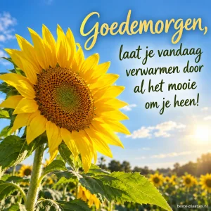 Een gele zonnebloem strekt zich uit naar een heldere blauwe lucht.