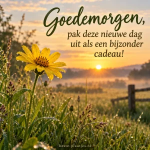Een gele bloem opent zich in het gouden licht boven een groene weide.