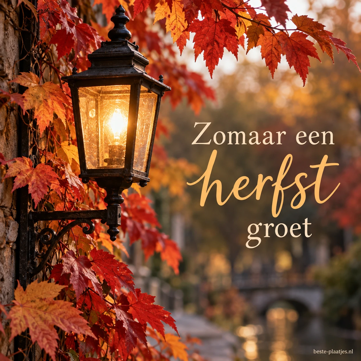 Een brandende straatlantaarn staat tussen rood-oranje bladeren langs een natte straat.
