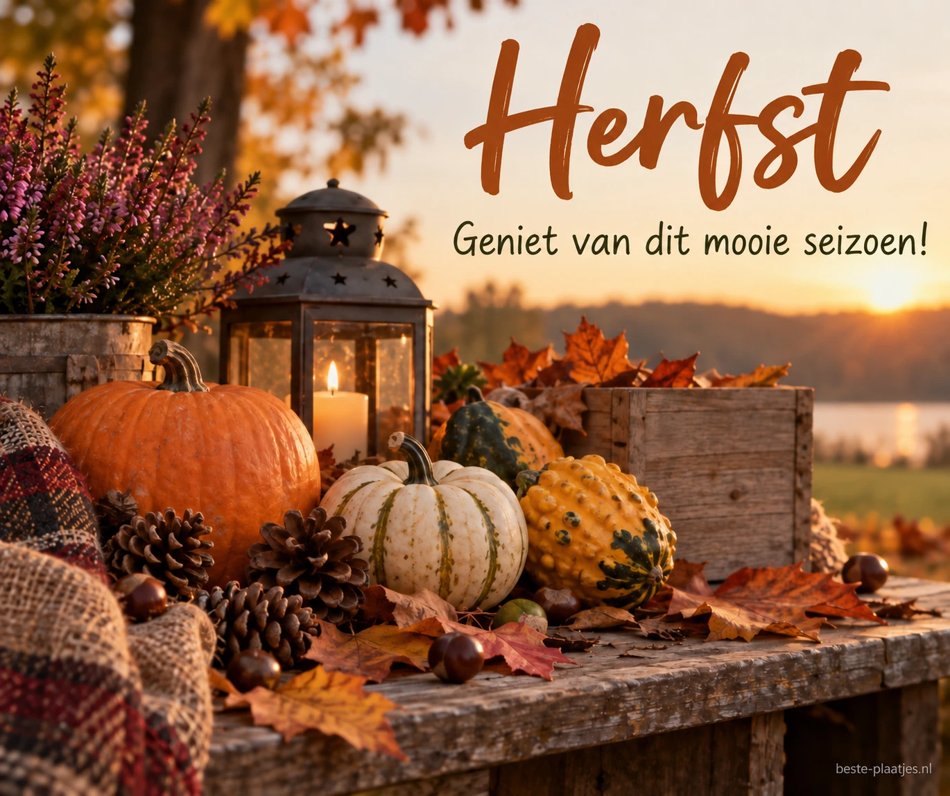 Pompoenen, heide en een brandende lantaarn staan op een houten tafel bij zonsondergang.
