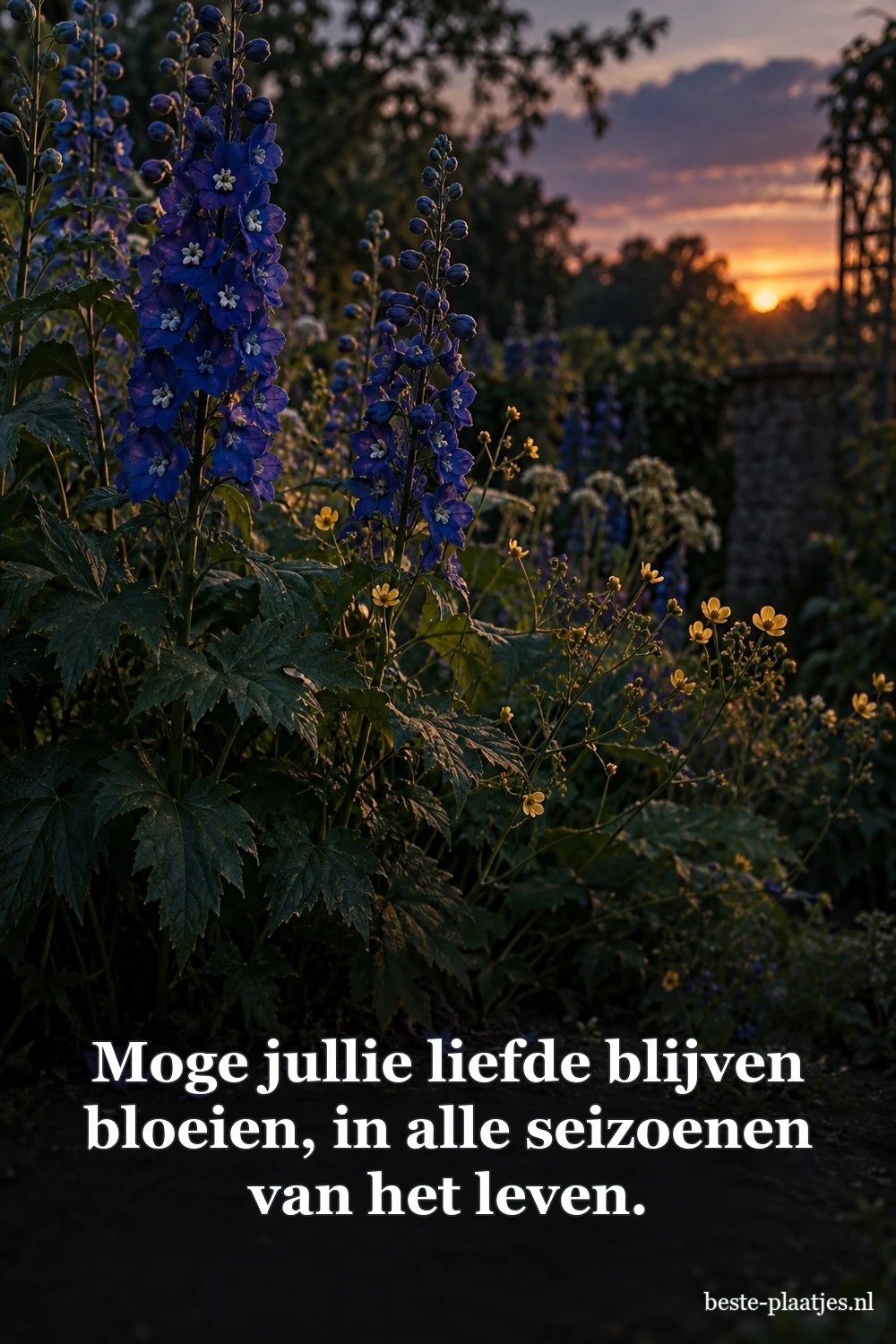 Indigoblauwe riddersporen en kleine gele bloemen groeien bij zonsondergang.