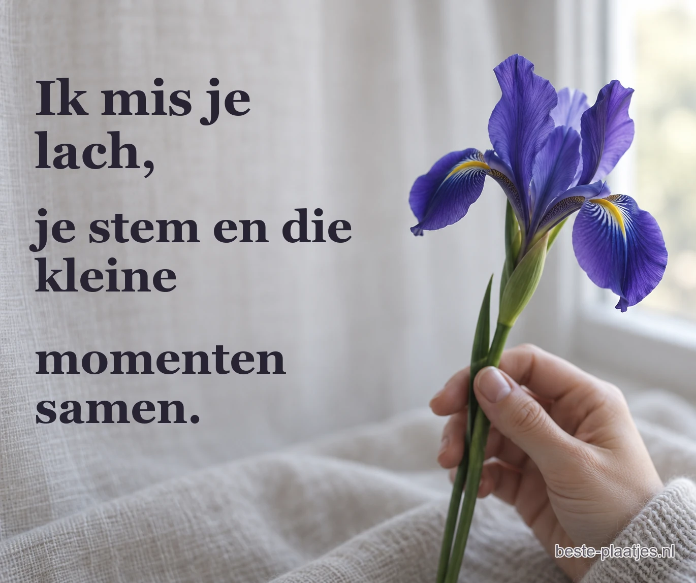 Een hand houdt een paarse iris voor zachtgrijze stof bij het raam.