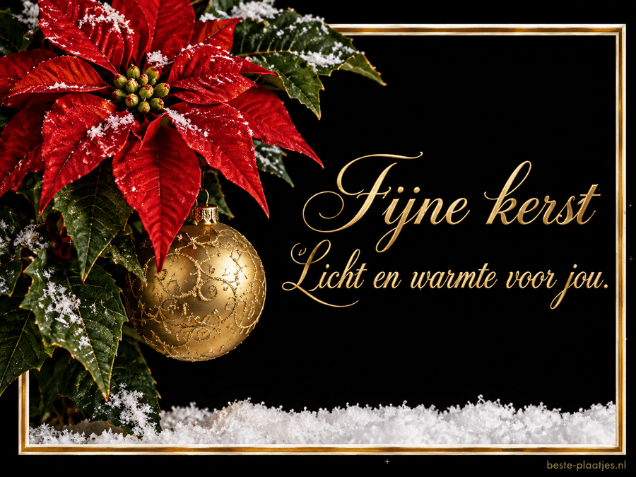Een rode kerstster met een gouden bal brengt een warme kerstwens.