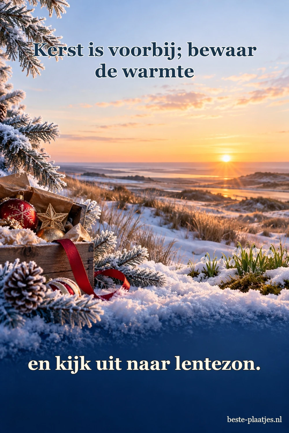 Besneeuwde sparrentakken kijken uit over duinen in het eerste warme zonlicht.