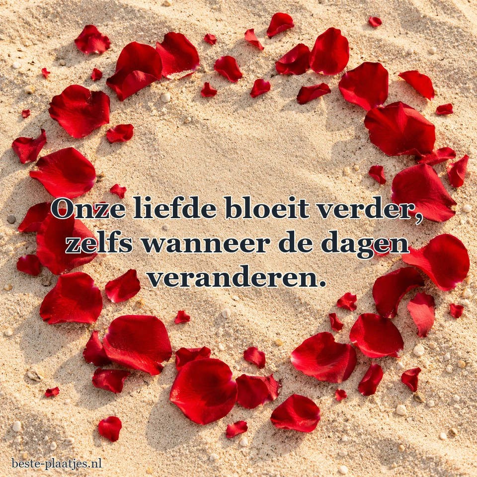 Rode rozenblaadjes vormen een losse krans op zand.