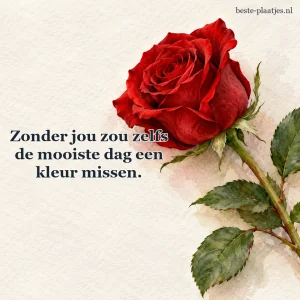 Een enkele dieprode roos ligt op warm wit papier.