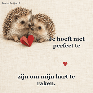 Twee jonge egels zitten bij een rood papieren hart.