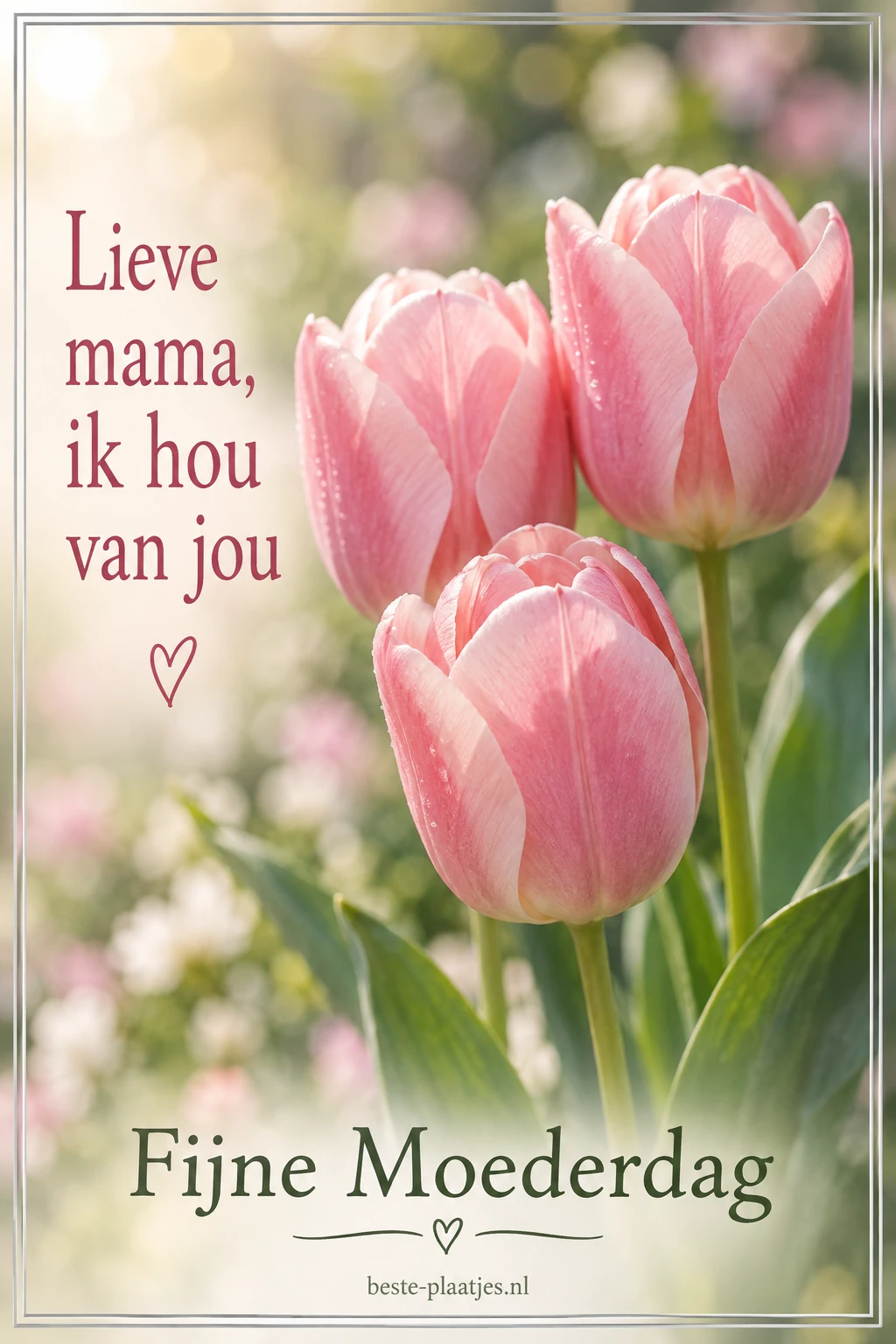 Drie roze tulpen staan binnen een smalle lijst in een zachte lentetuin.