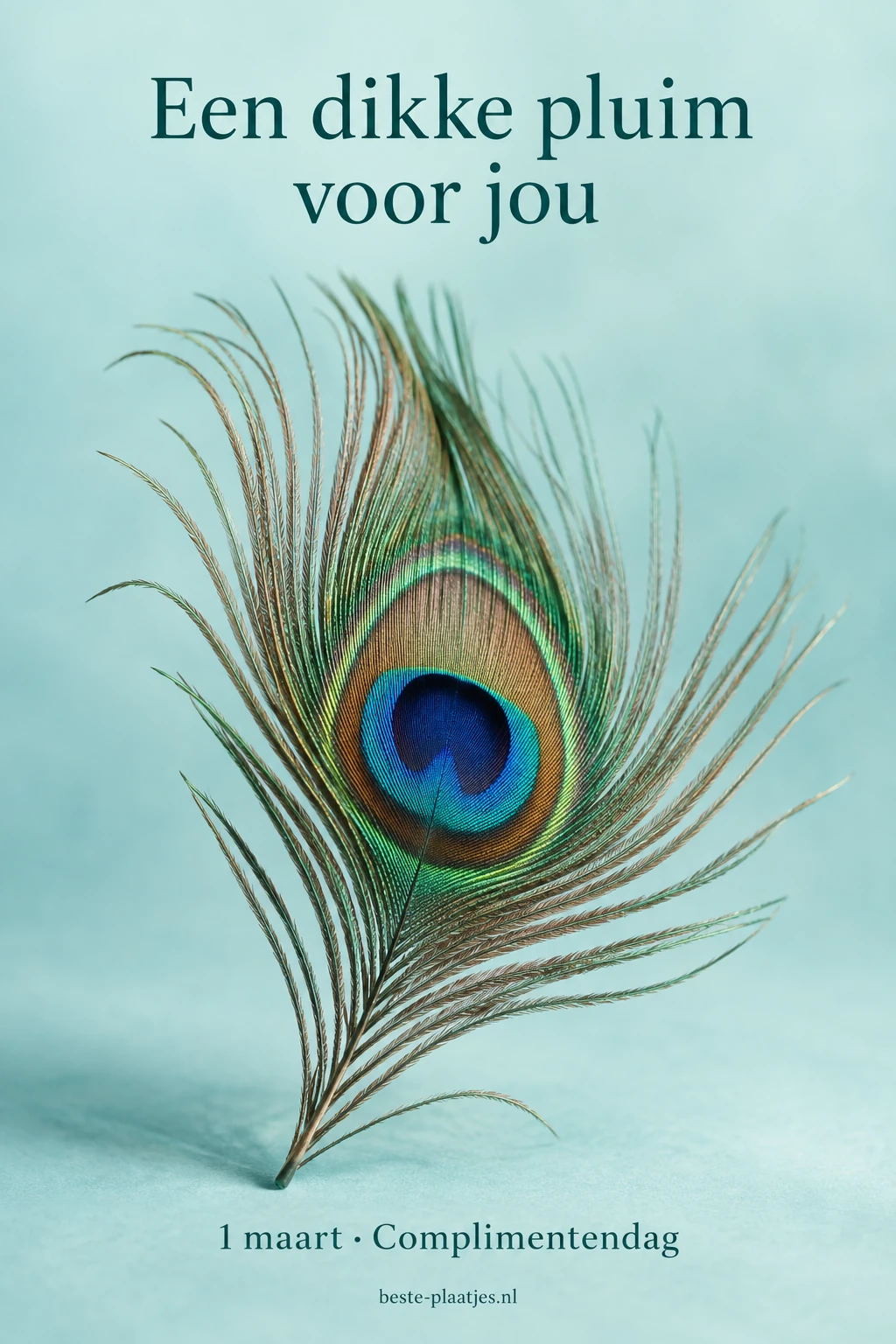 Een echte pauwenveer staat tegen een luchtige turquoise achtergrond.