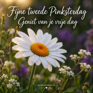 Pinkstermaandag 17/5