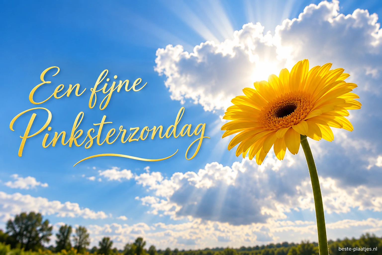 Een gele gerbera staat voor een blauwe hemel met witte wolken en zonlicht.