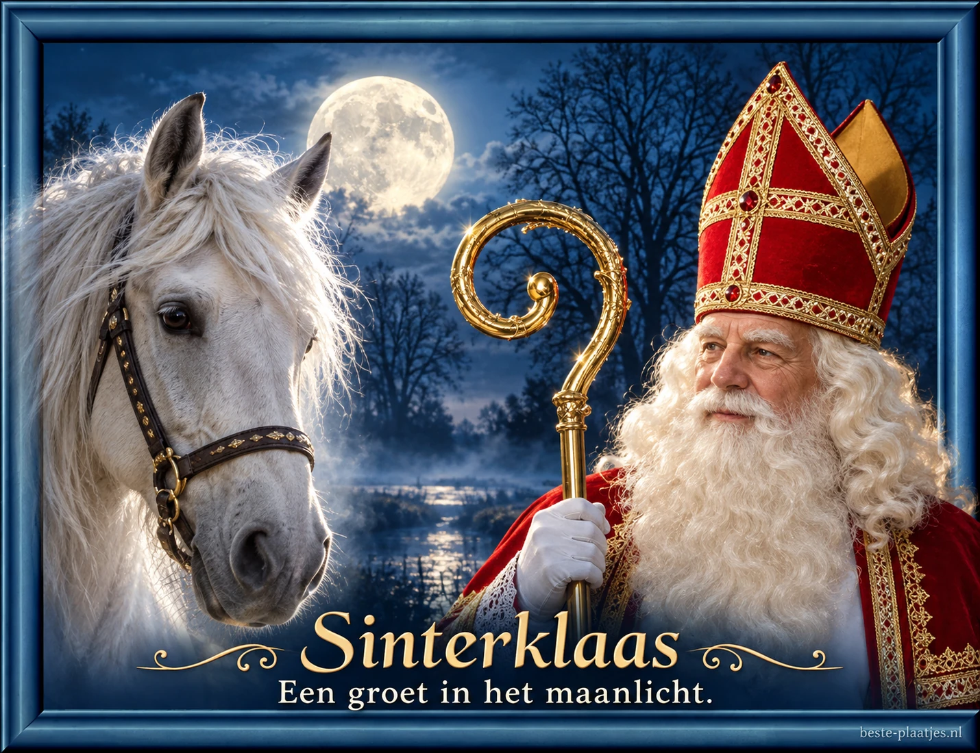 Een wit paard en Sinterklaas staan in een donkerblauwe kaart met maanlicht.