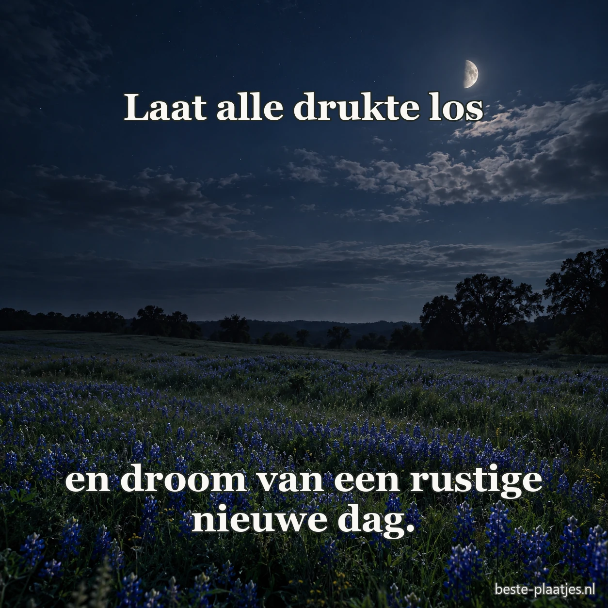 Een veld met blauwe bloemen ligt stil onder de avondmaan.