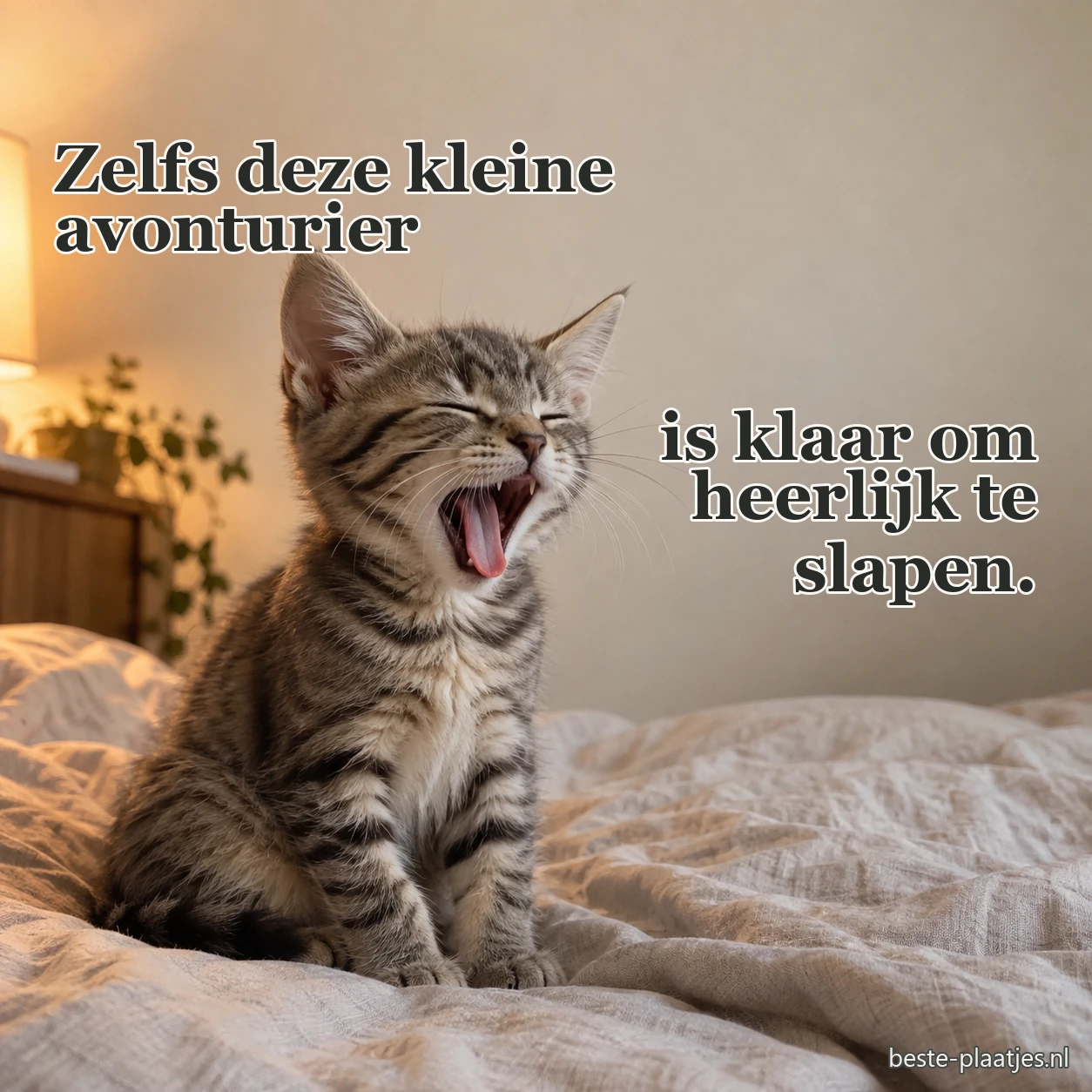 Een jong gestreept kitten gaapt op een laken.