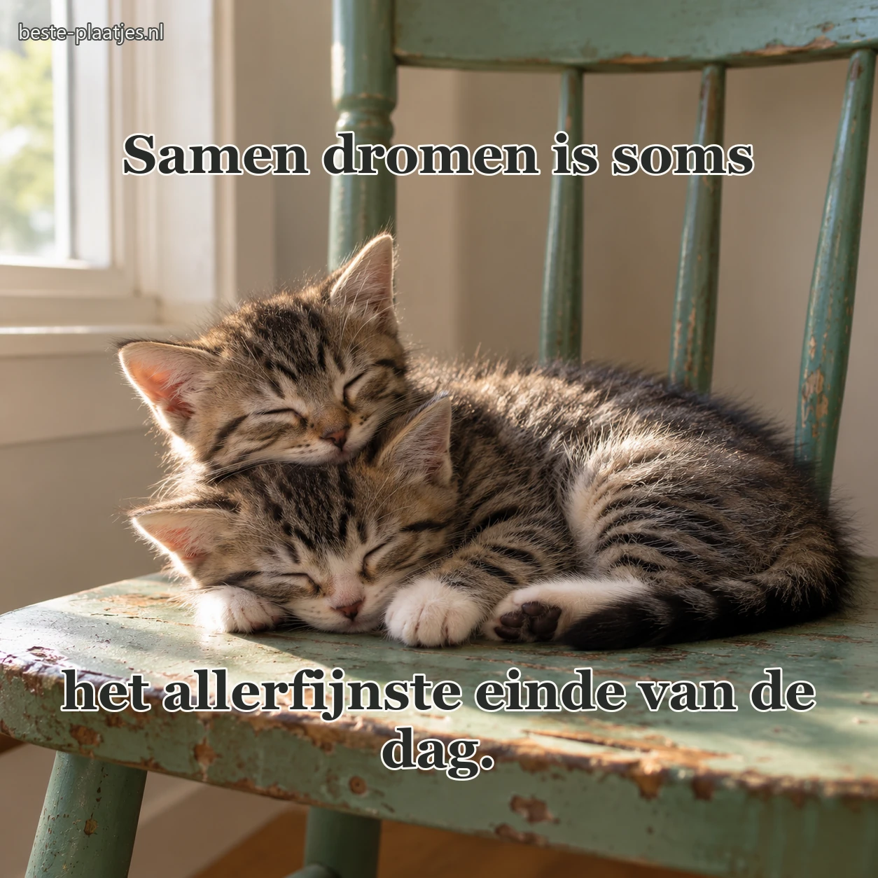 Twee jonge kittens slapen samen op een groene stoel.