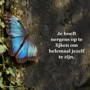 Een bontgekleurde vlinder zit op een donkere tuinmuur.