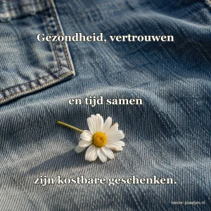 Een madeliefje ligt op een versleten spijkerjas.