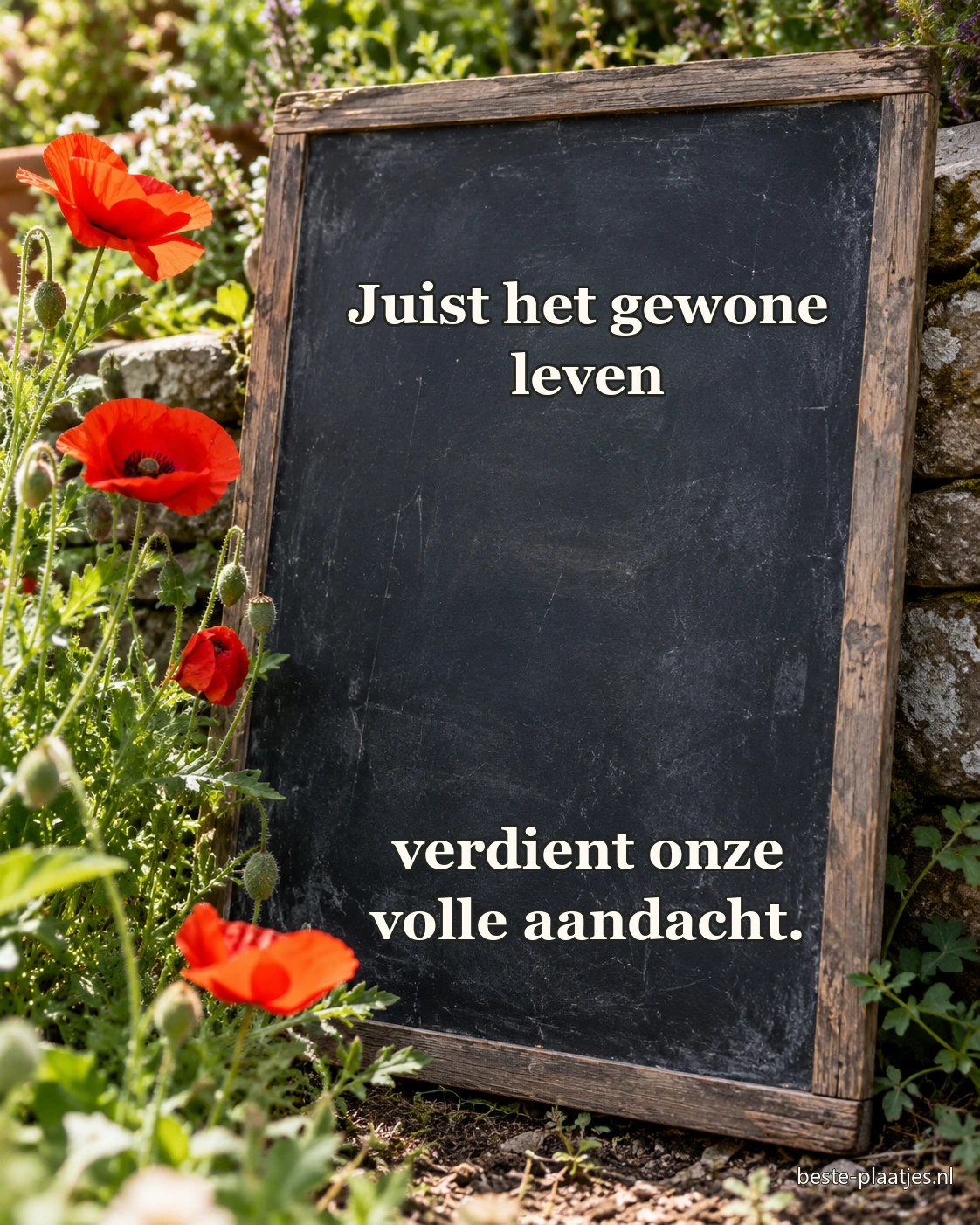 Een oud krijtbord staat tussen rode klaprozen.