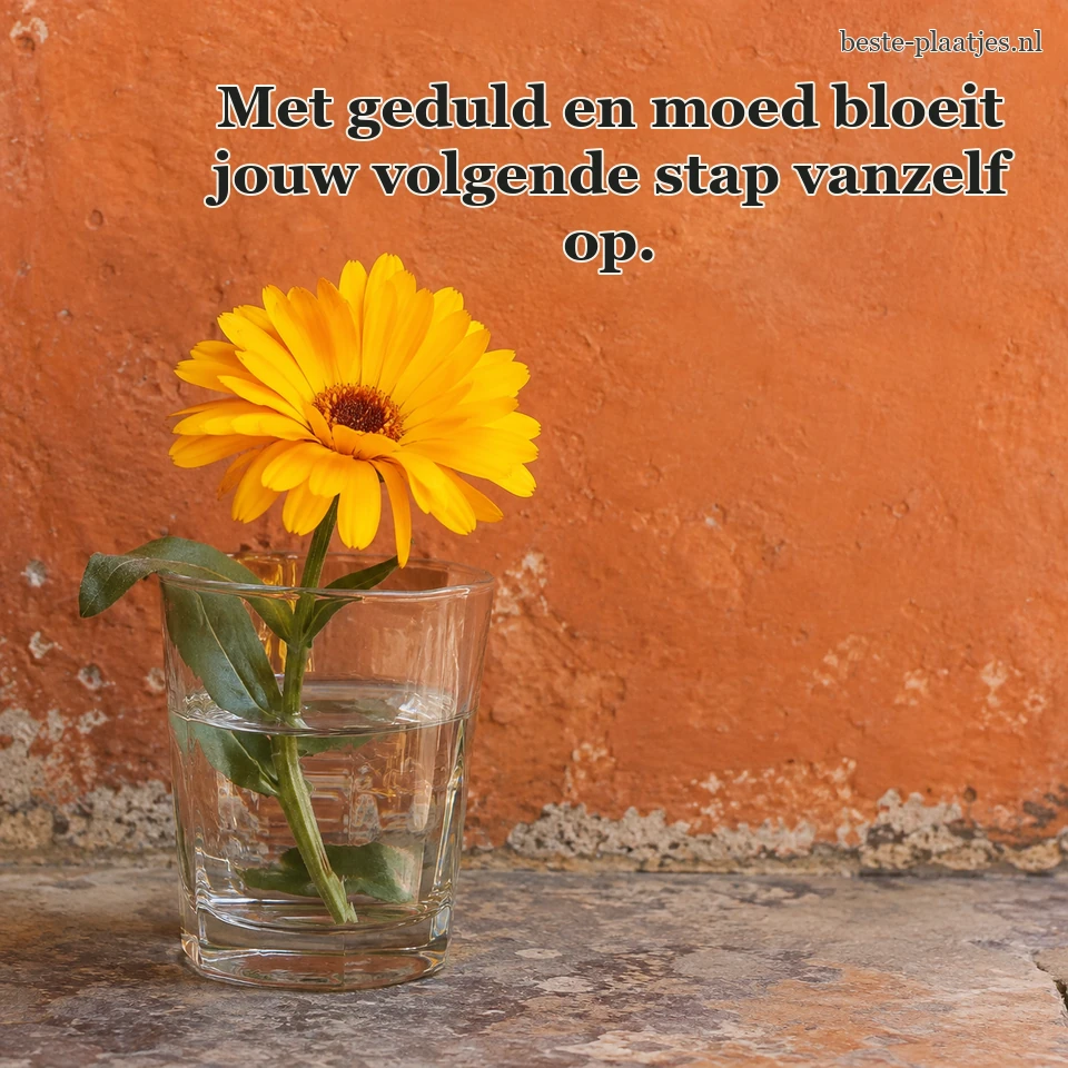 Een gele goudsbloem staat voor een terracottakleurige muur.