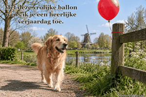 Een hond met roze strik loopt langs een rode ballon in het park.