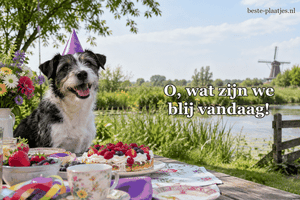 Een vrolijke terriër met feesthoed zit bij een picknicktafel.