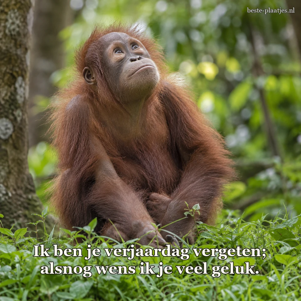 Een jonge orang-oetan kijkt peinzend omhoog tussen groene planten.