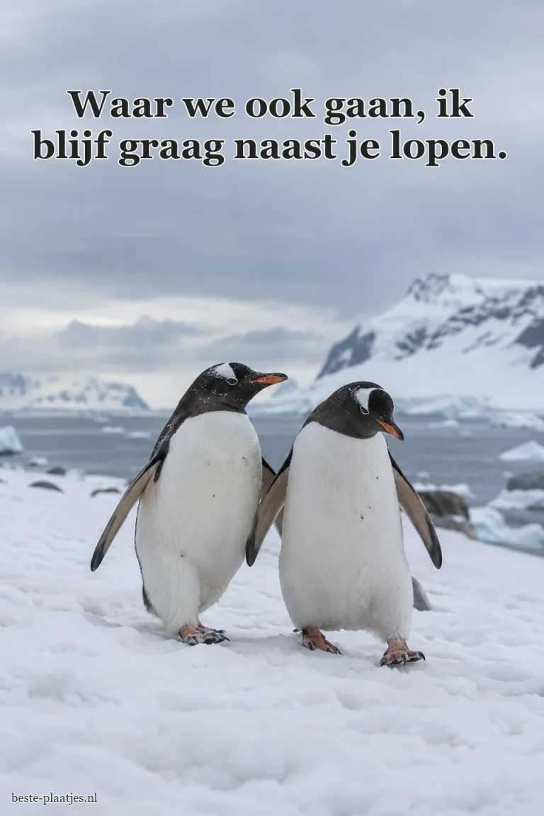 Twee pinguïns lopen naast elkaar door een sneeuwlandschap.