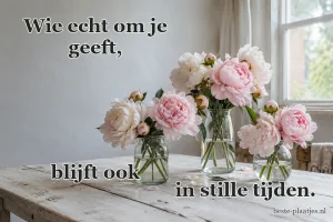 Lichtroze pioenrozen staan in drie eenvoudige glazen vazen.