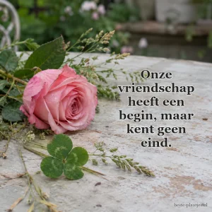 Een roze roos en een klavertjevier liggen op een tuintafel.