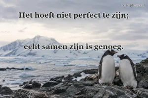 Twee pinguïns staan bij elkaar aan een koude rotskust.