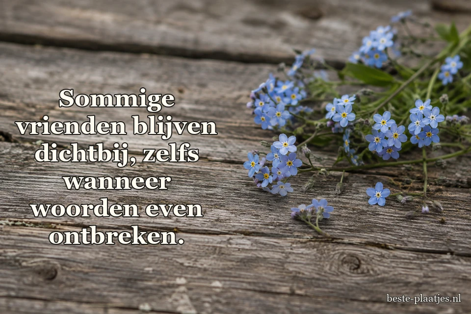 Vergeet-mij-nietjes liggen op verweerde houten planken.