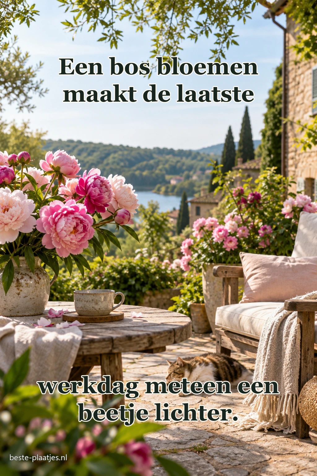 Pioenrozen staan op een landelijk terras met uitzicht op het water.