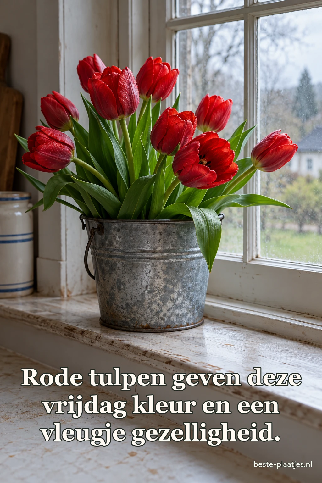 Rode tulpen staan in een metalen vaas bij een koel verlicht raam.