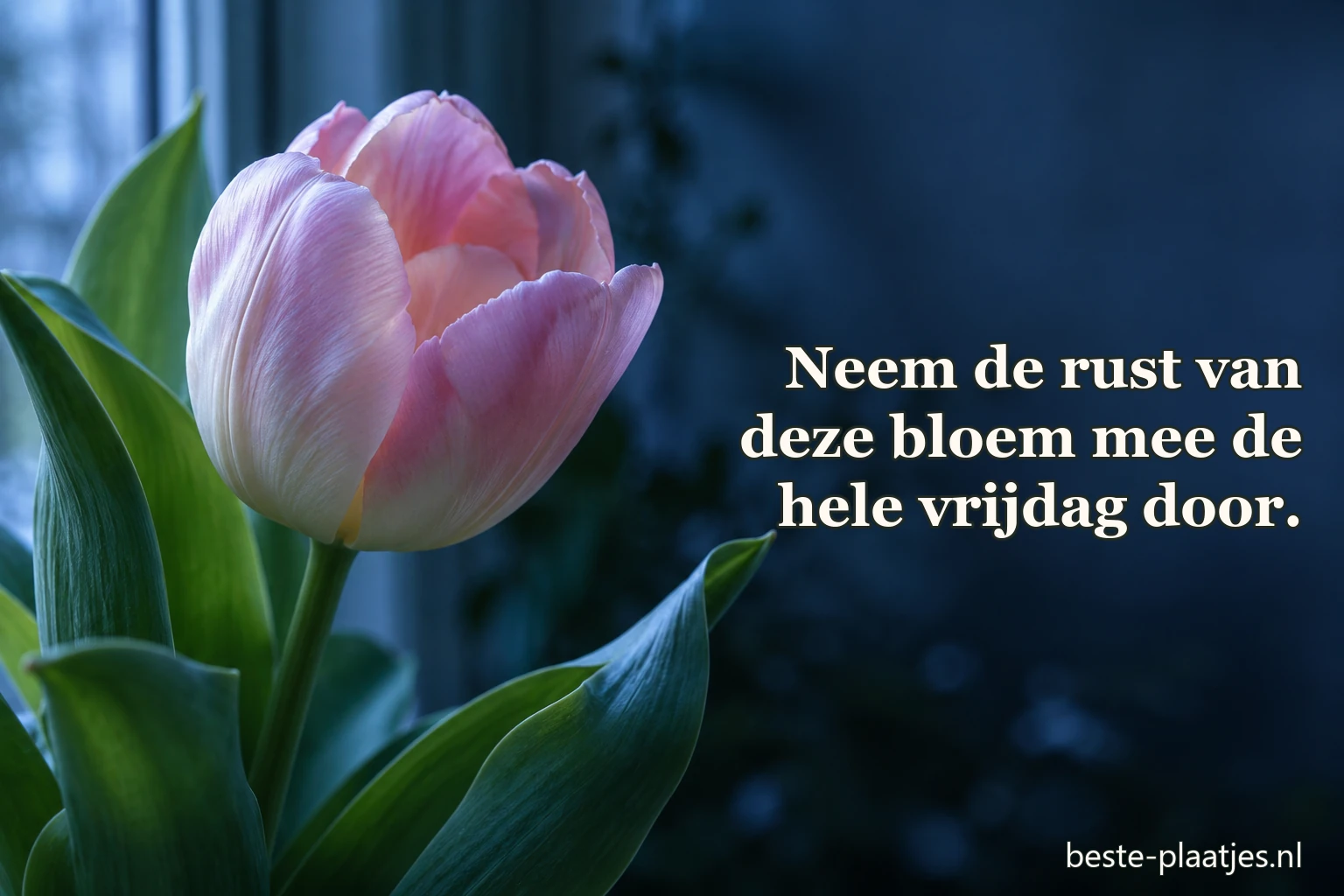 Lichte bloesem hangt boven een rustig meer in de vroege ochtend.
