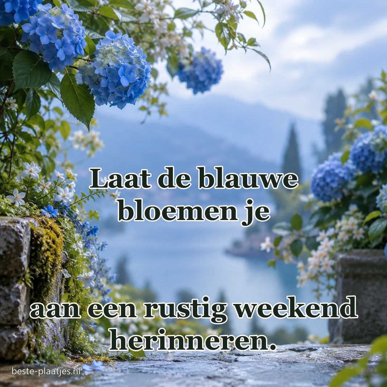 Blauwe hortensia's hangen langs een stenen pad met uitzicht op een meer.